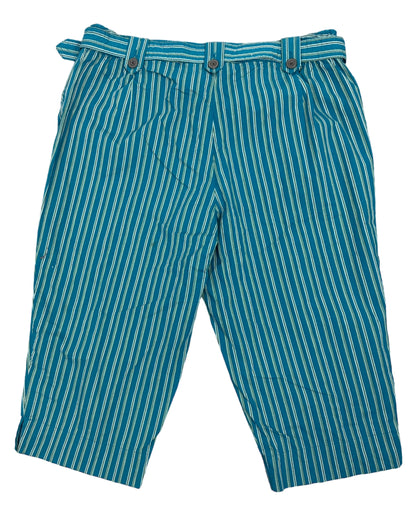 Teal Pinstripe Capris